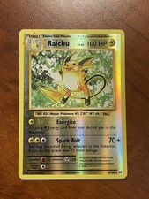 Pokémon Raichu Evolutions