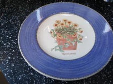 PIATTI INSALATA DA GIARDINO WEDGWOOD SARAH'S X 2 - BLU