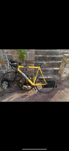 Bici corsa usata - bici,