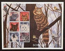 SIERRA LEONE GATTI DOMESTICI
