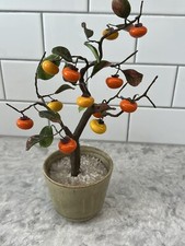 Raro bonsai da frutto di cachi