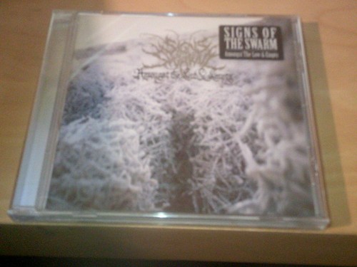 Signs the swarm amongst - swarm,