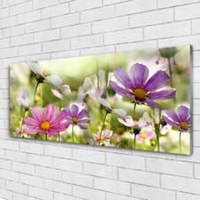 Print on Glass Wall art 125x50