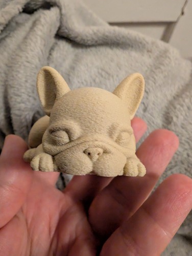 French bulldog known as - french,