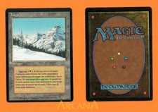 Taiga - Foreign Black Bordered