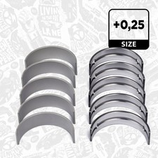 Set Cuscinetti Albero Motore