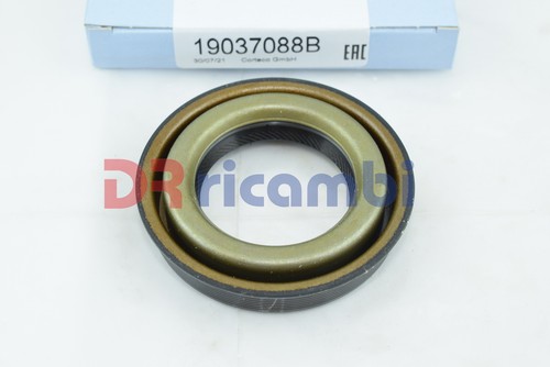Paraolio anello tenuta - anello, di
