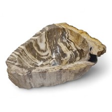 Lavabo In Legno Fossile