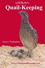 Urban Quail-Keeping