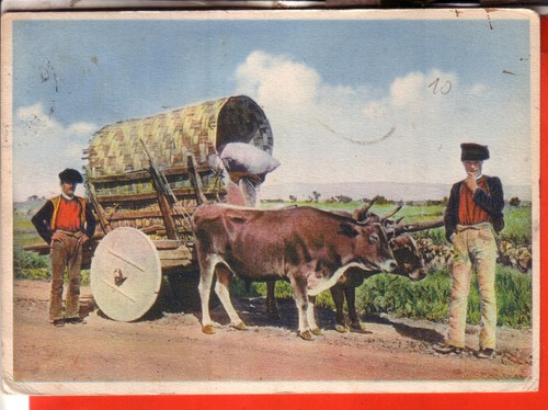 Cartolina milis viaggiata - milis,