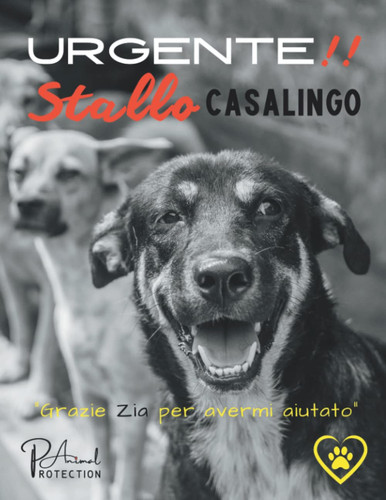 Urgente stallo casalingo - stallo,