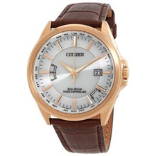 Citizen Perpetual World Time