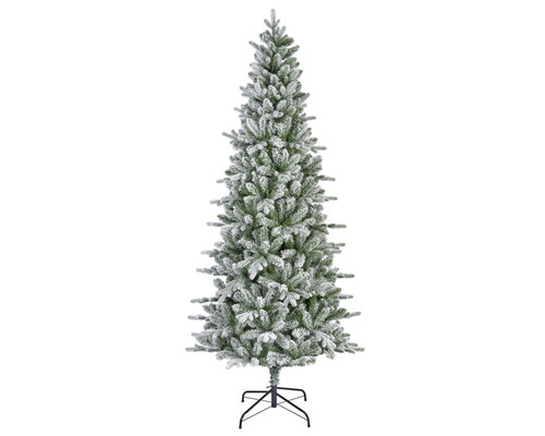 Albero natale pino - di,