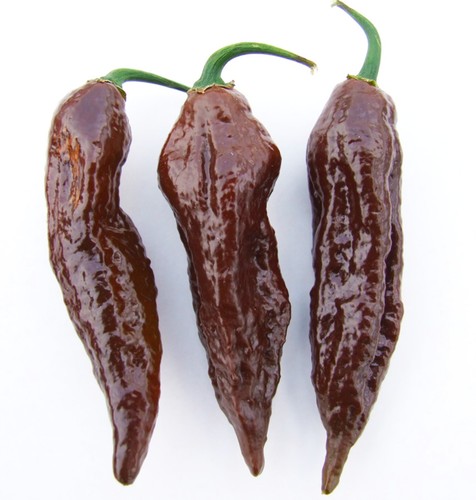 Semi peperoncino bhut - semi, di