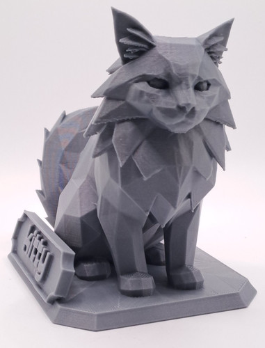 Tuo gatto come modello - tuo,