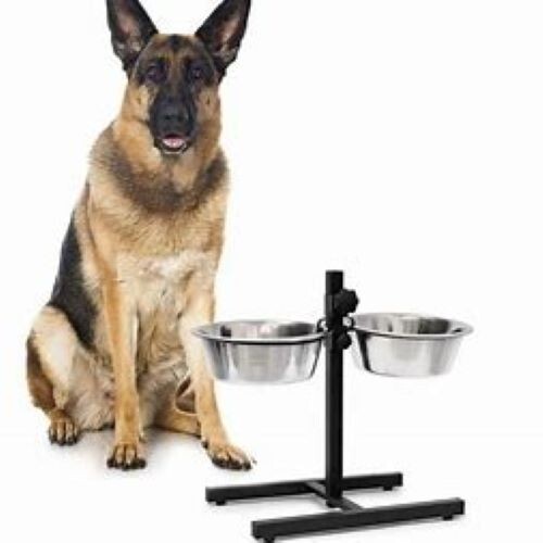 Ciotola doppia cani - cani, con
