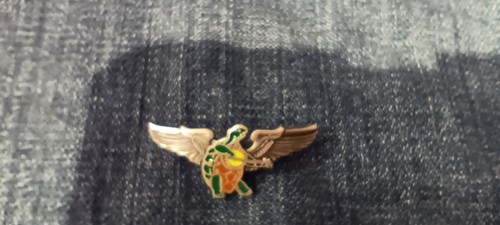 Spilla grateful dead rockwings - grateful,