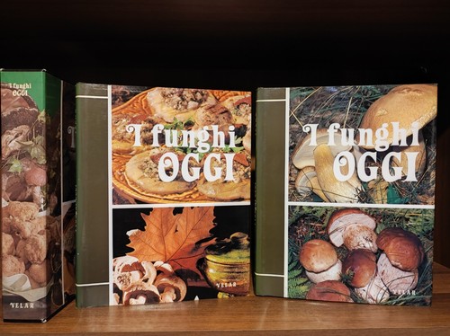 Funghi oggi enciclopedia - oggi,