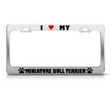 MINIATURE BULL TERRIER PAW