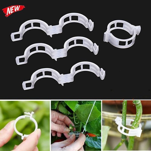 250pz clip supporto per - 50-250pz,