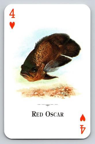 Carta scambio rosso oscar - rosso,