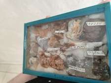 Collezione di Minerali