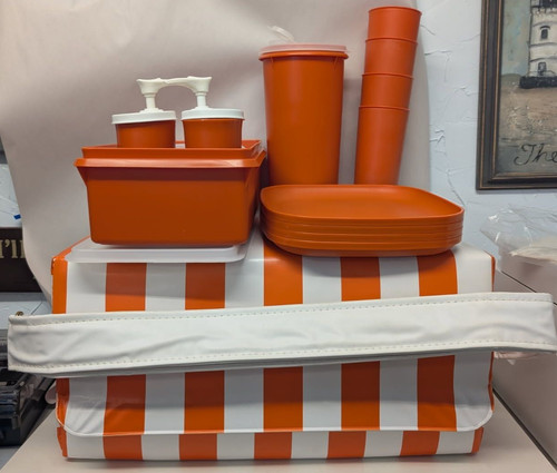 Tupperware picnic vintage