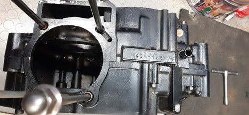 Suzuki 600 coppia - suzuki,