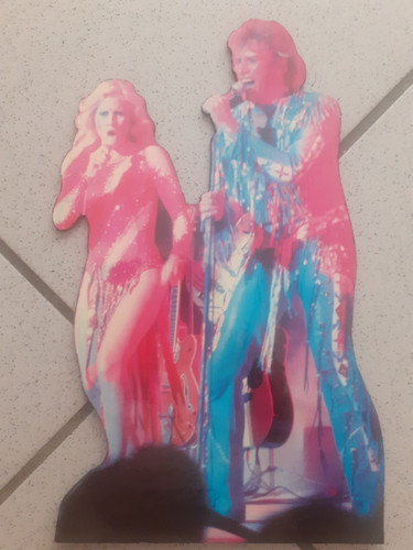 Johnny hallyday sylvie - hallyday, et