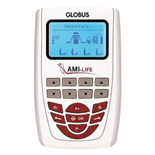 Globus Professional