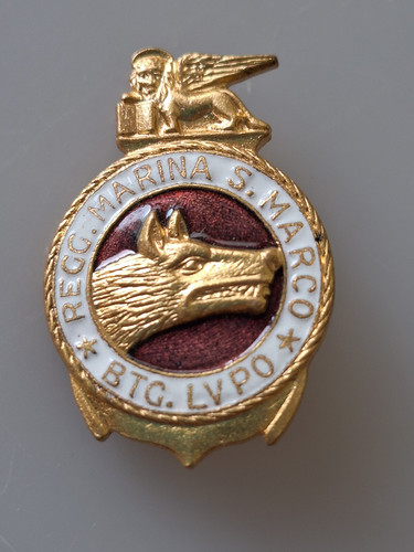 Distintivo militare smaltato - distintivo,