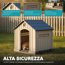 Cuccia per Cani in Plastica