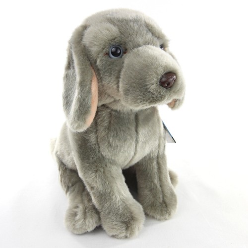 Weimarana peluche giocattolo - weimarana,