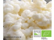10g Certificato da OF&G Latte Vivo Biologico Kefir Grani Pastorizzato Made in UK