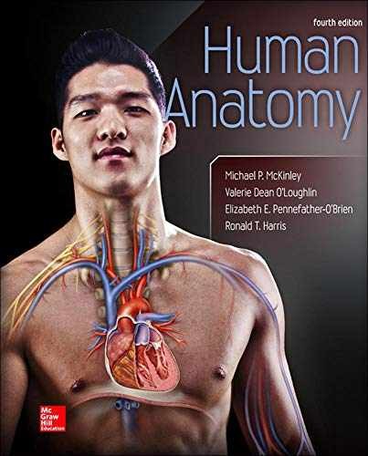 Human anatomy hardcover by - human, hardcover,