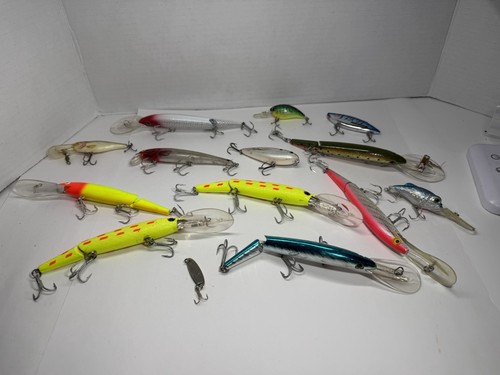 Esche pesca diverse - 13,