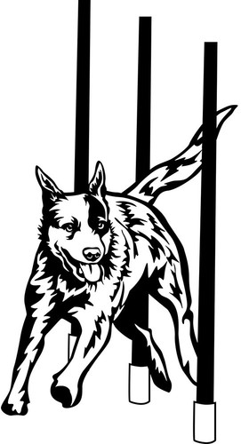Adesivo australian cattle dog - cattle,