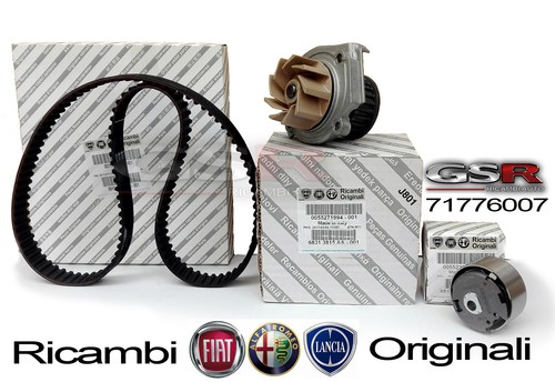 Kit cinghia distribuzione - cinghia,