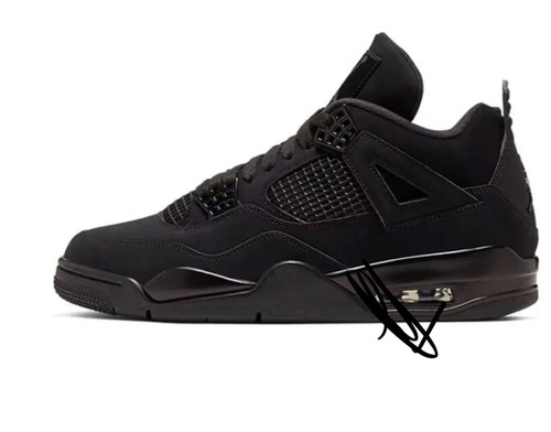 Nike air jordan - 4, cat