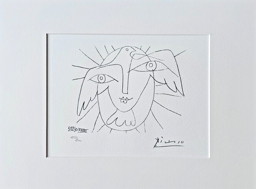 Pablo picasso visage la - pablo,