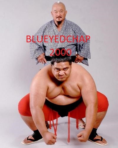 Fuji yokozuna wrestler - wrestler, 8