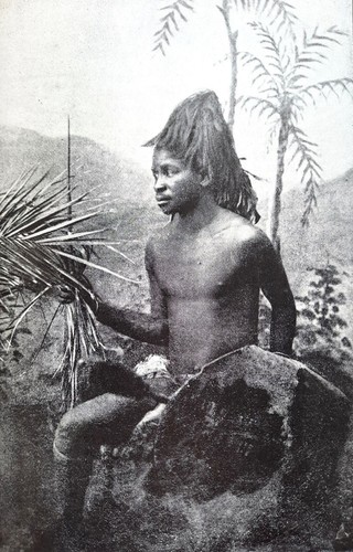 Africa tra zambesi - tra,