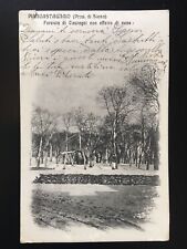 Piancastagnaio (prov.Siena)Foresta di Castagni con Effetto Neve 