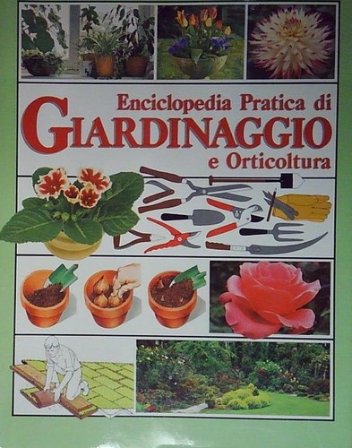 Enciclopedia pratica - pratica, di