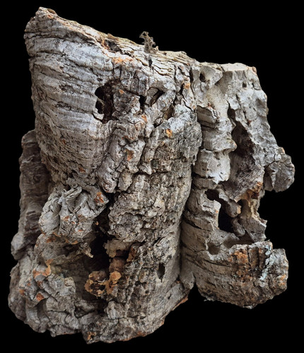 Corteccia sughero 17x18 - 17x18, cm