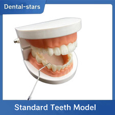 Modello denti finti dentale