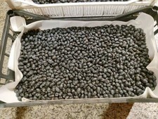 Bacche di mirto per liquore fresche bio 1kg