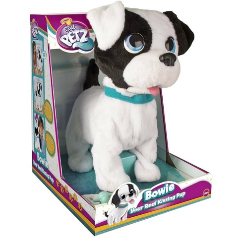 Club petz icm bowie cagnolino - club,