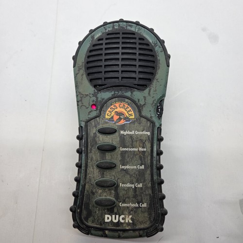 Cass creek duck gioco - cass,