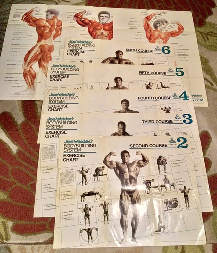 Weider bodybuilding system - weider,